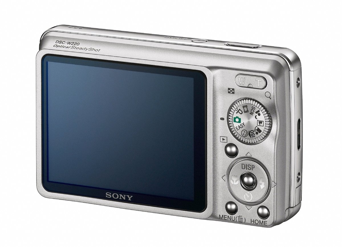Amazon.com : Sony Cybershot DSC-W220 12.1MP Digital Camera with 4x