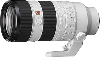 Amazon.com : Sony FE 70-200mm F2.8 GM OSS II Full-Frame Constant