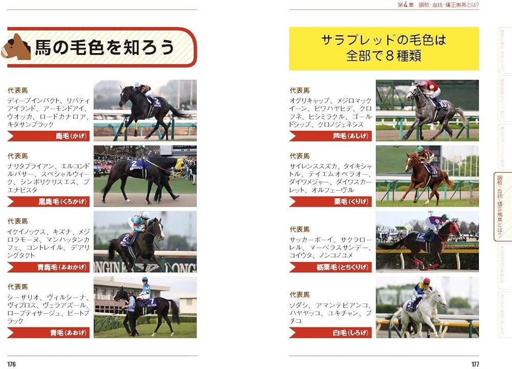 717ZYg6SlOL._AC_UF1000,