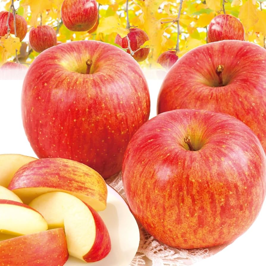 Amazon.co.jp: りんご 5kg みちのくサンふじ 山形産 ご家庭用 国華園