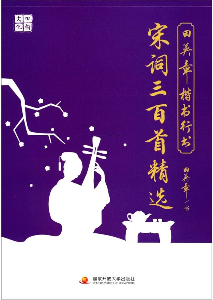 Amazon.com: 田英章楷书行书楷行双体字帖宋词三百首精选行书书法临摹