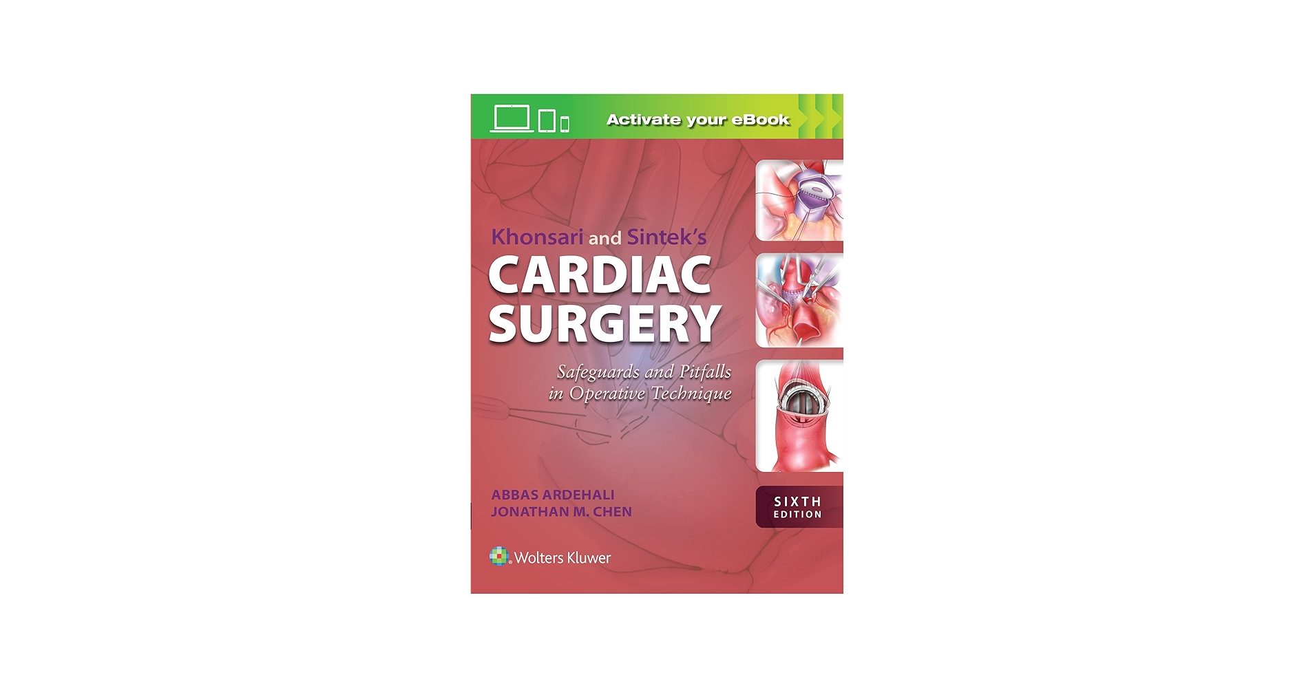 Khonsari and Sintek's Cardiac Surgery: Safeguards and Pitfalls in