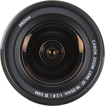 Amazon.com : Canon EF 16–35mm f/2.8L III USM Lens, Black (0573C002