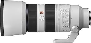 Amazon.com : Sony FE 70-200mm F2.8 GM OSS II Full-Frame Constant