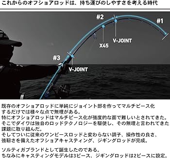 Amazon | ダイワ(DAIWA) オフショアキャスティングロッド ソルティガAP