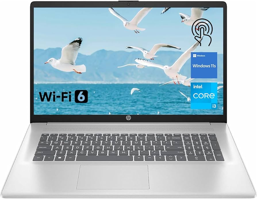 Amazon.com: HP Premium 17.3