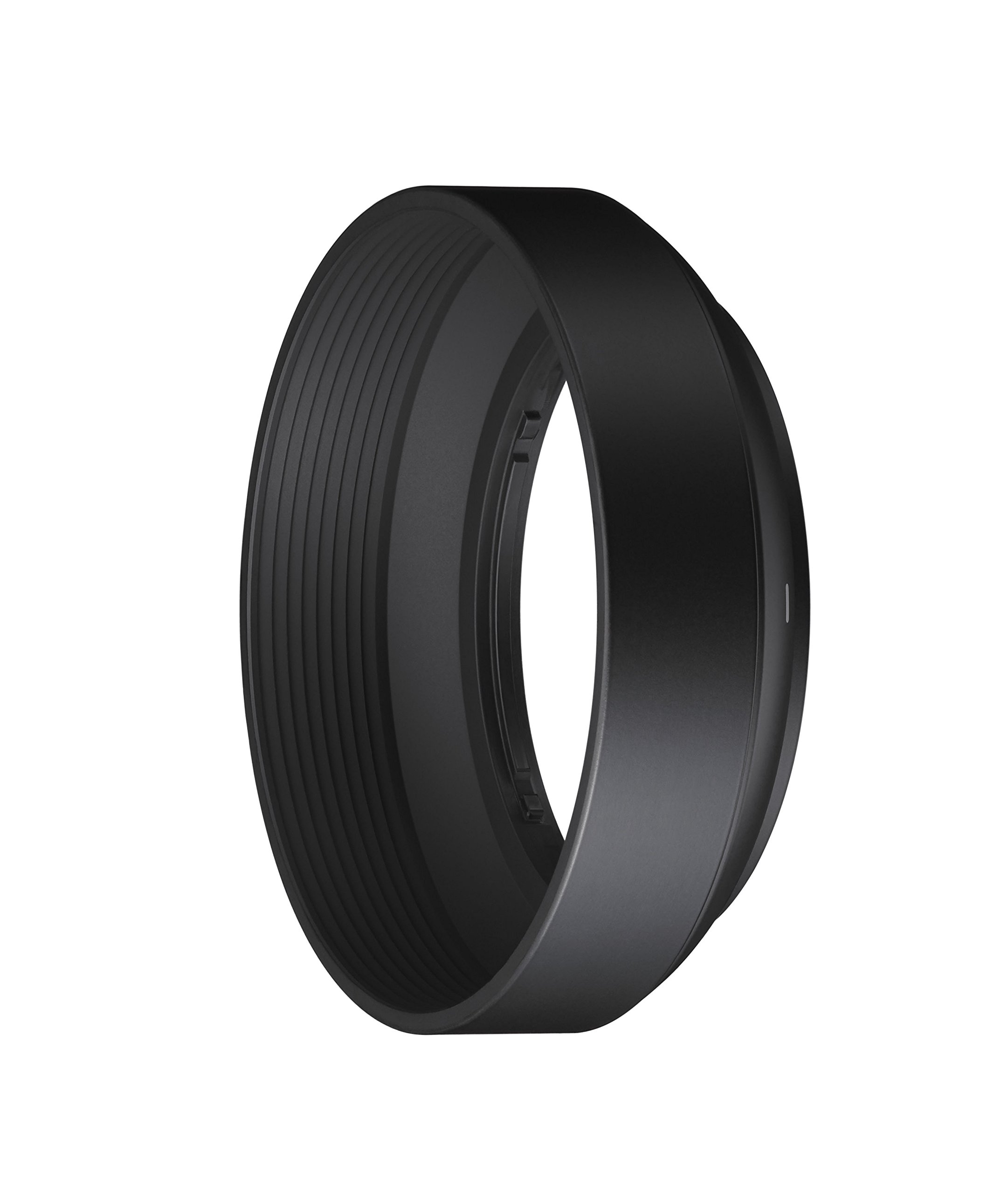 Amazon.com : Sigma 19mm F2.8 EX DN Art (Silver) for Sony SE