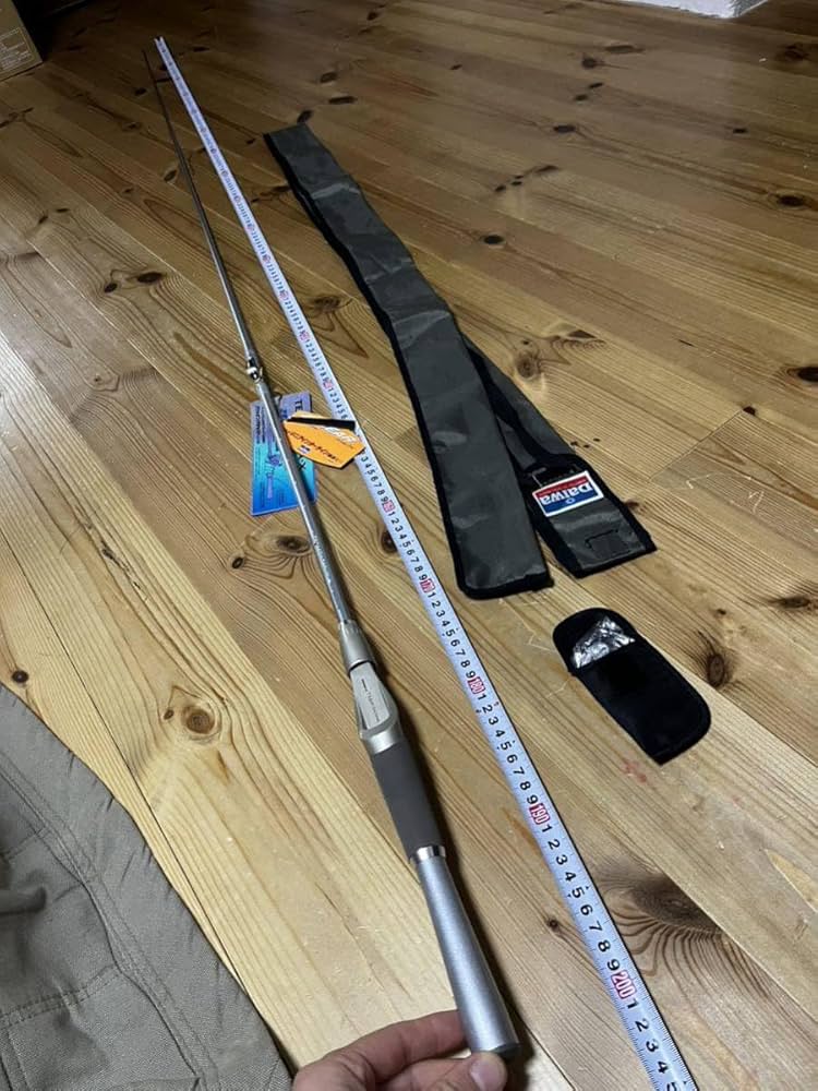 Amazon.co.jp: ダイワ チームダイワX TD-X 661MHRB-li HVF graphite