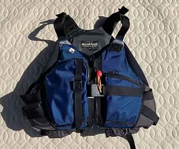 718tEdoulCL._AC_UF350,