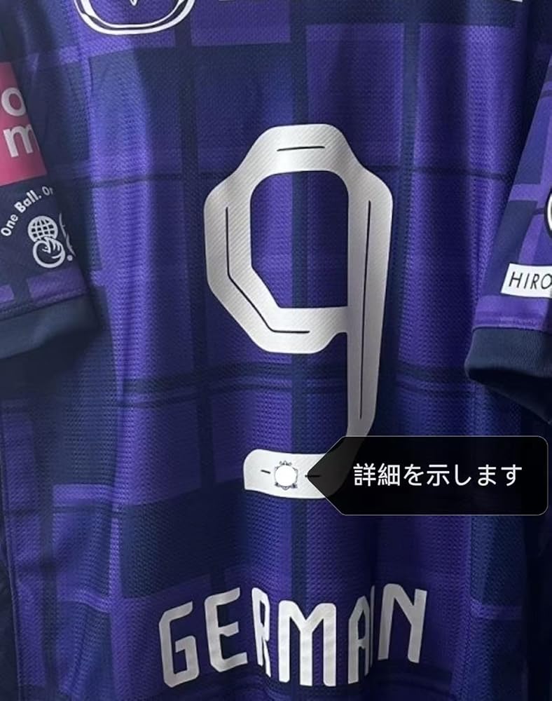 Amazon.co.jp: [HALASRTB] 2025シーズン サンフレッチェ広島 全員