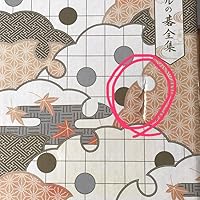 Amazon.co.jp: DVD-BOX「ヒカルの碁」全集 : 川上とも子, 千葉進歩