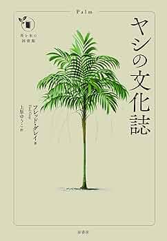 719KSPMjeQL._AC_UF350,