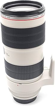 Amazon.co.jp: Canon EF 70-200mm f/2.8L IS II USM : Electronics