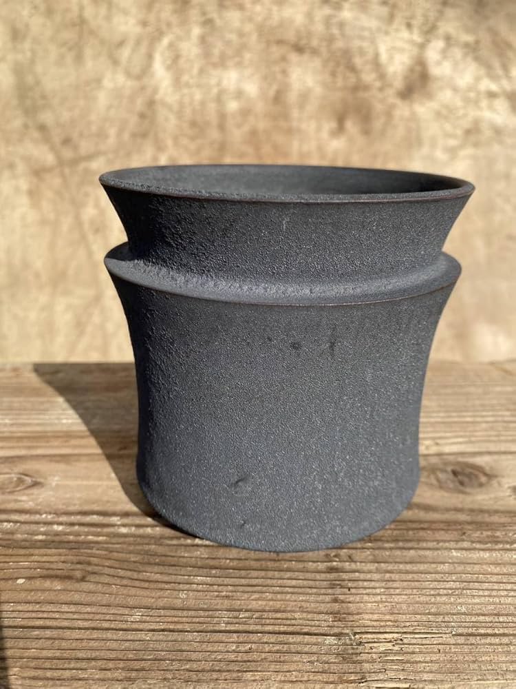 earnest hearts volt 風林火山 特大鉢 検】 パキプス