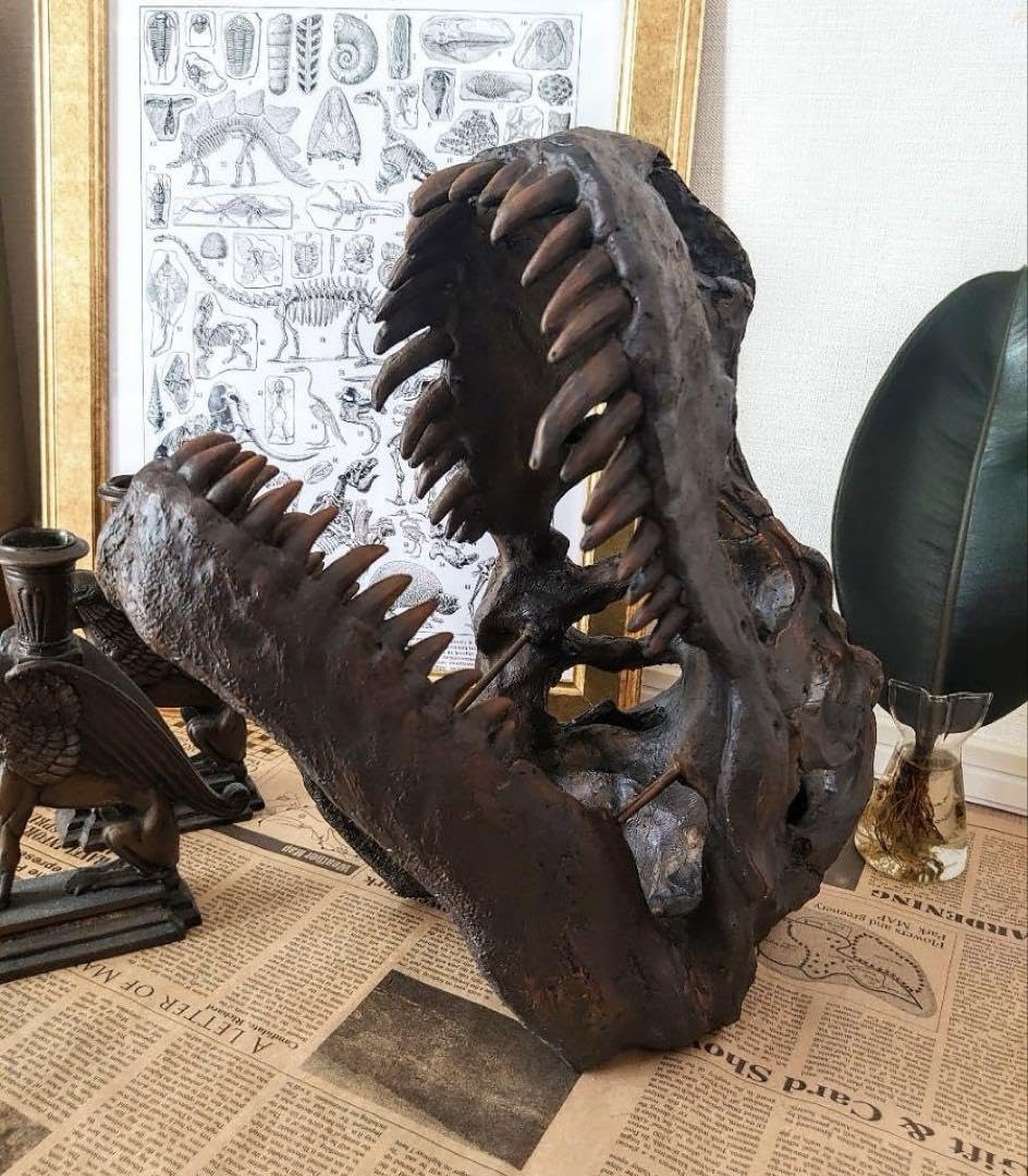 Amazon.co.jp: ティラノサウルス インテリアオブジェ 雑貨 置物 恐竜の