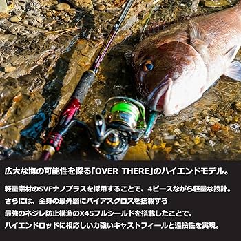 Amazon | ダイワ(DAIWA) オーバーゼアAGS ショアジギング 標準全長2.92