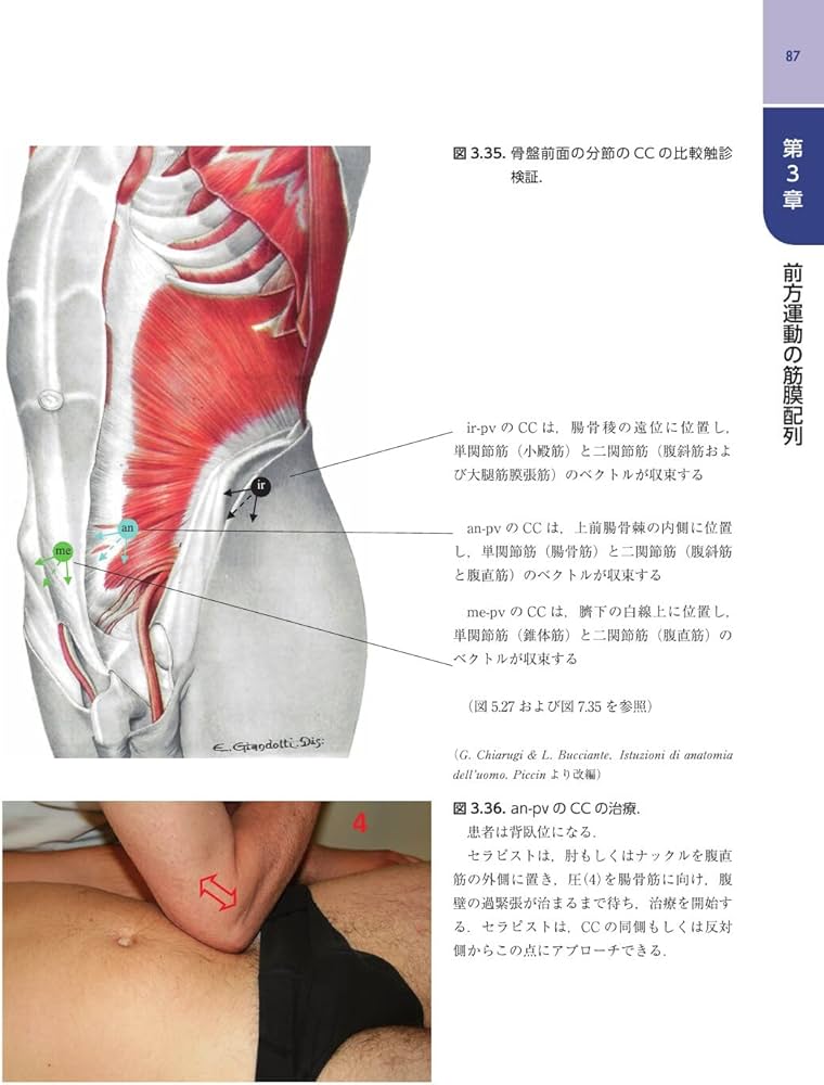 Amazon.co.jp: 筋膜マニピュレーション 実践編 レベル1 原著第2版