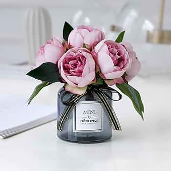 719l2OC31eL._AC_UF350,