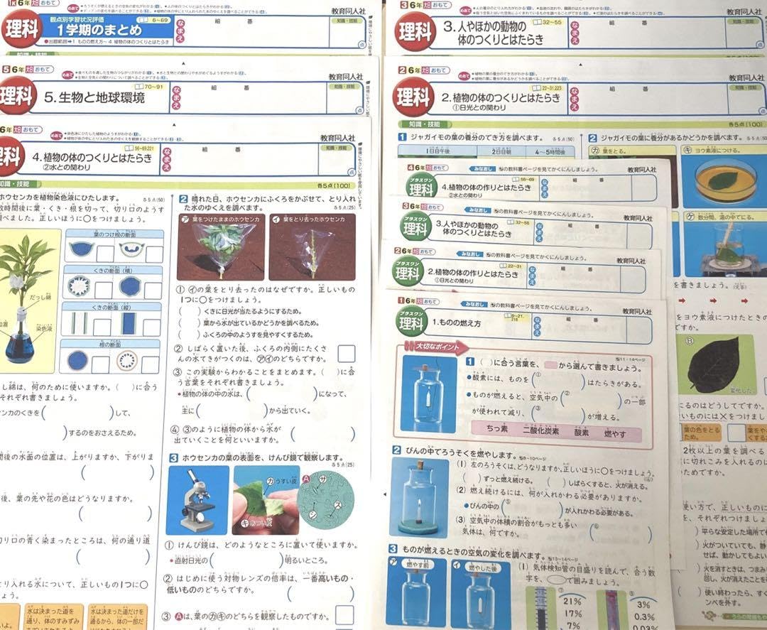 Amazon.co.jp: 小学6年 理科 一学期分 カラーテスト プレテスト付き