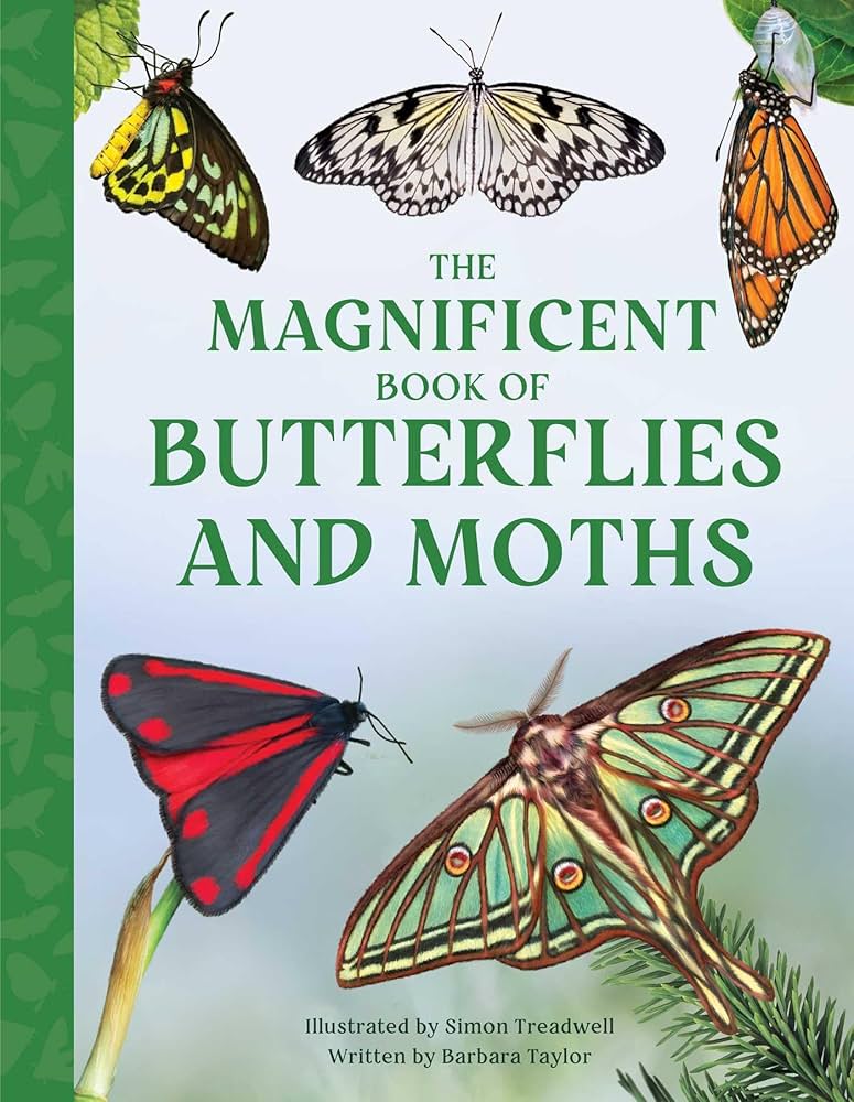 The Magnificent Book of Butterflies and Moths: Taylor, Barbara
