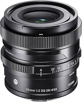 Amazon.com : Sigma 35mm F2.0 DG DN L-Mount : Electronics
