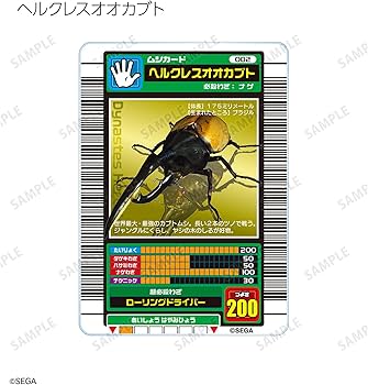 Amazon.co.jp: 甲虫王者ムシキング トレーディングアクリルカード 10個