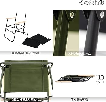 Amazon.co.jp: DOD(ディーオーディー) ローローバーチェア ロー