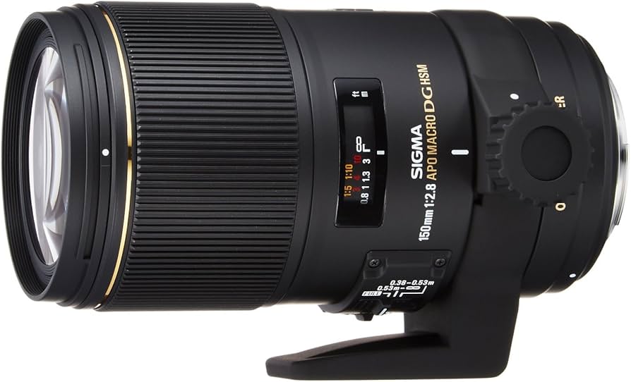 Amazon.com : Sigma 150mm f/2.8 AF APO EX DG OS HSM Macro Lens for