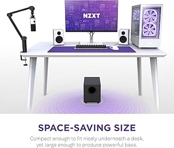 Amazon.com: NZXT Relay PC Gaming Subwoofer - AP-SUB80-US - Deep