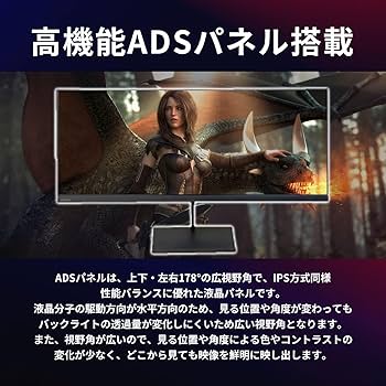 Amazon.co.jp: DOSHISHA ドウシシャ ORION D292WVG 液晶ディスプレイ