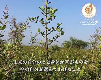 Amazon | 印度(ｲﾝﾄﾞ)農園 100％オーガニックヘナ 200g(100g×2個