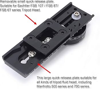 71-sTM1mP4L._AC_UF350,