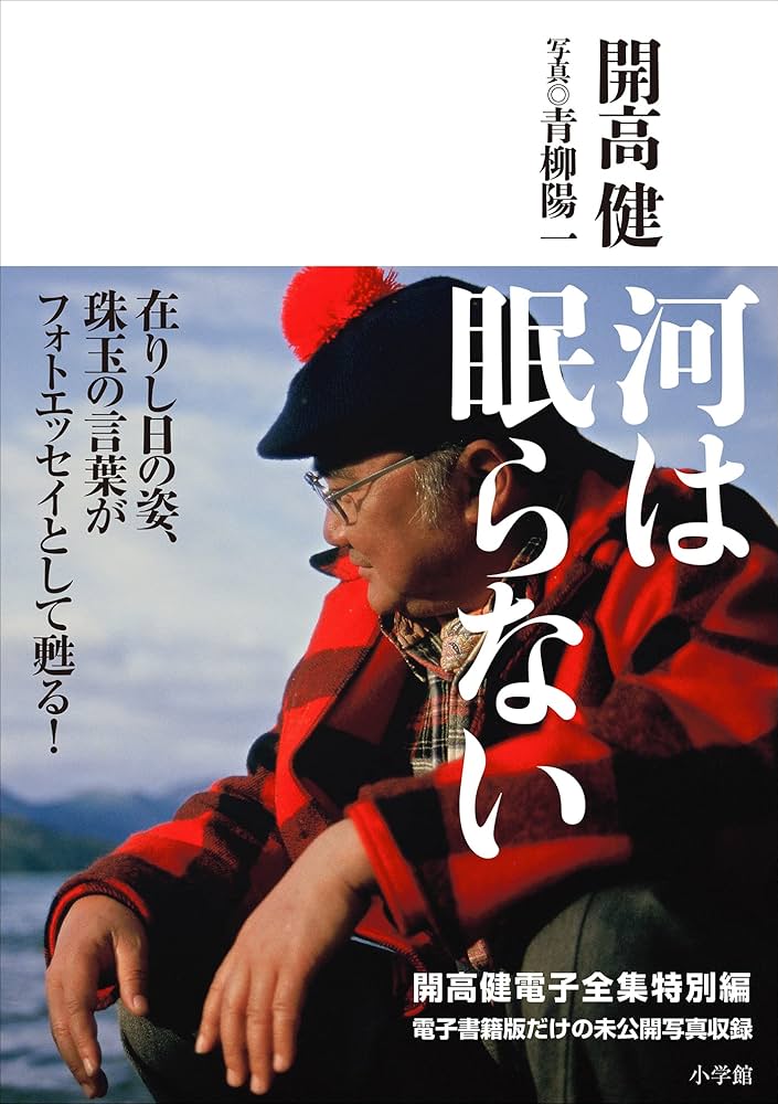 Amazon.co.jp: 開高 健 電子全集 特別編 河は眠らない eBook : 開高健