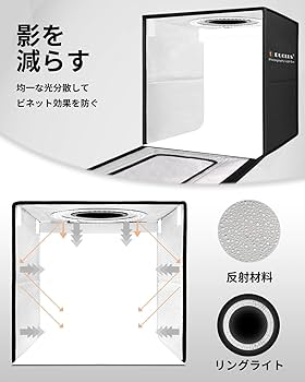 71-wkMk3nDL._AC_UF350,