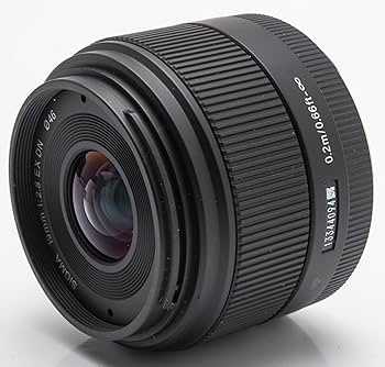 Amazon.com : Sigma 19mm F2.8 EX DN Lens for Sony E Mount 440965