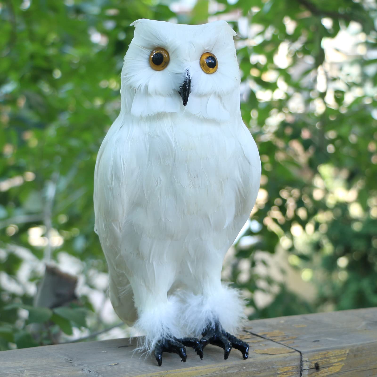 Amazon.co.jp: リアルな白い羽のフクロウの置物 生きているような鳥