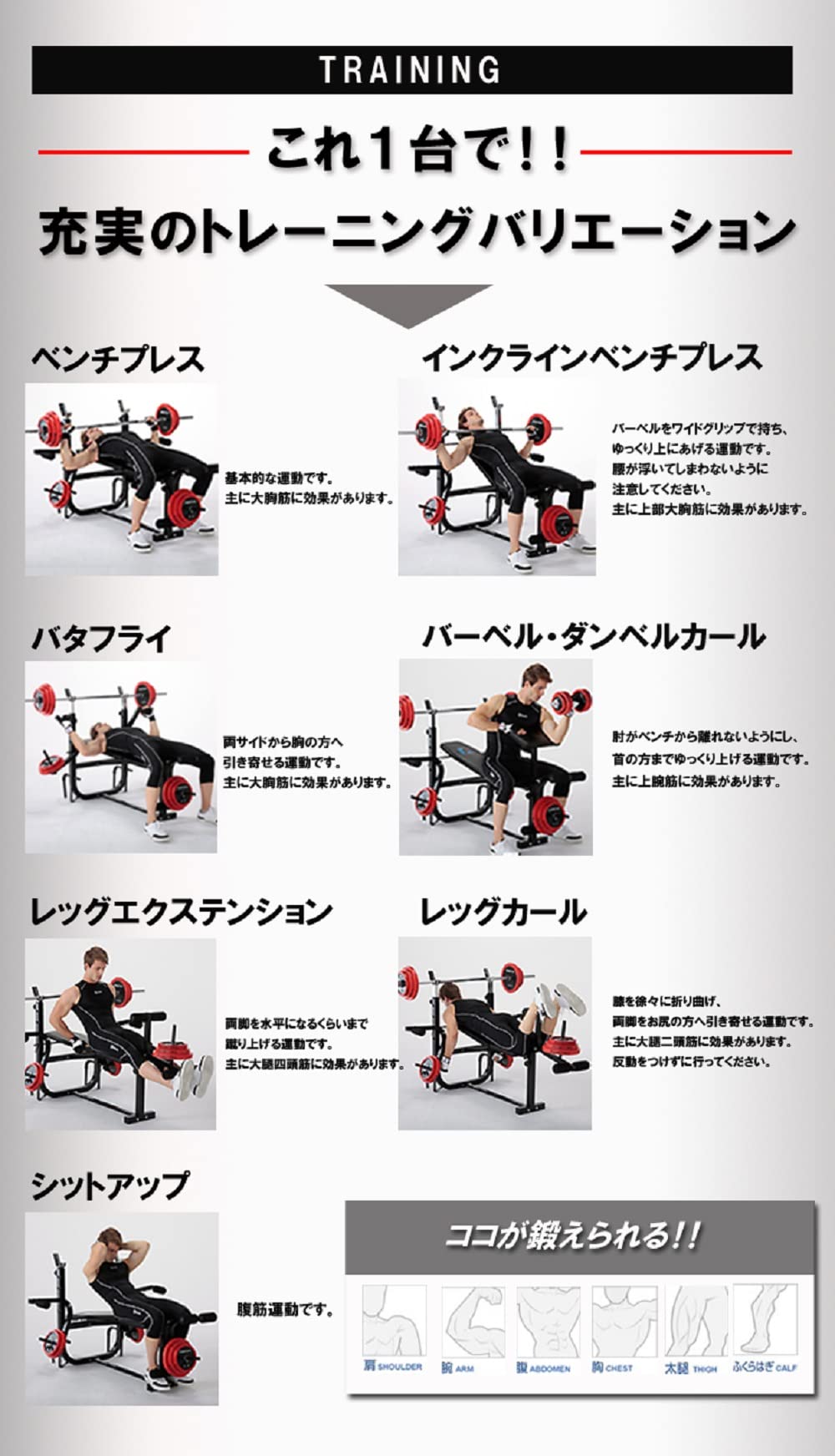 Amazon.co.jp: ファイティングロード Co., Ltd. (FIGHTINGROAD Co