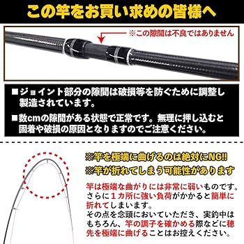 Amazon.co.jp: キャスティングタコに タコエギロッド＆スピニング