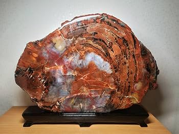 Amazon.co.jp: 【アリゾナ16.6kg】アリゾナ珪化木ジャスパー化石原石