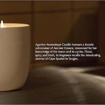 Amazon.co.jp: Aesop イソップ プトレミー アロマティック キャンドル