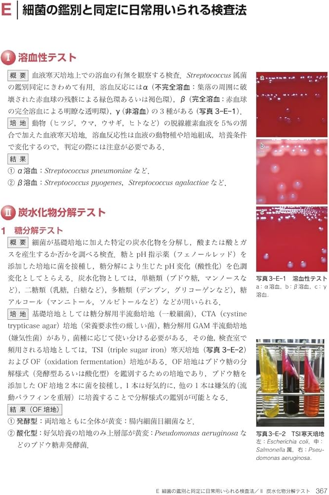 最新臨床検査学講座 臨床微生物学 第2版 | 松本 哲哉, 松本 哲哉 |本