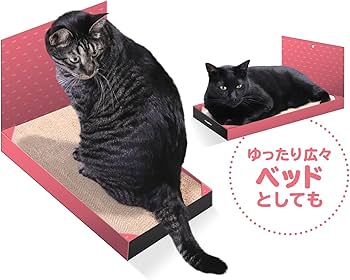 Amazon | キャティーマン (CattyMan) スッキリつめみがきワイド 猫用