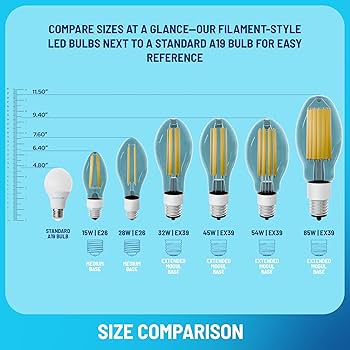 KASTLITE LED-8061E22 Vintage Filament LED Edison Bulb Retrofit