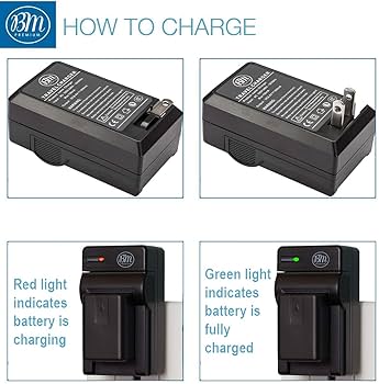 Amazon.com : BM Premium VW-VBK180 Battery and Charger for