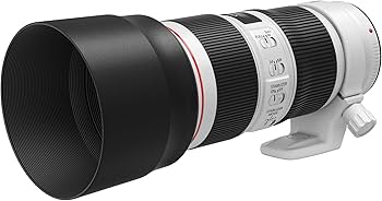 Amazon.co.jp: キヤノン 2309C001 EF70-200mm F4L IS II USM : 家電