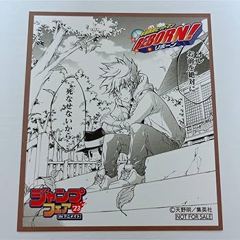 Amazon.co.jp: REBORN 家庭教師ヒットマンREBORN 沢田綱吉 色紙 原作柄