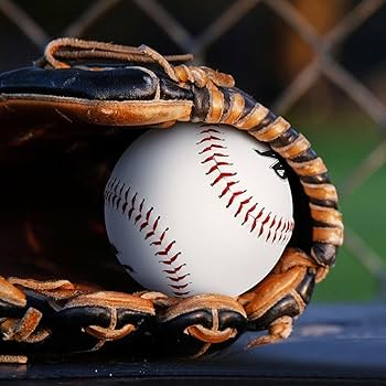 Amazon | 千葉ロッテマリーンズ 野球ボール キャッチボール 軟式/準