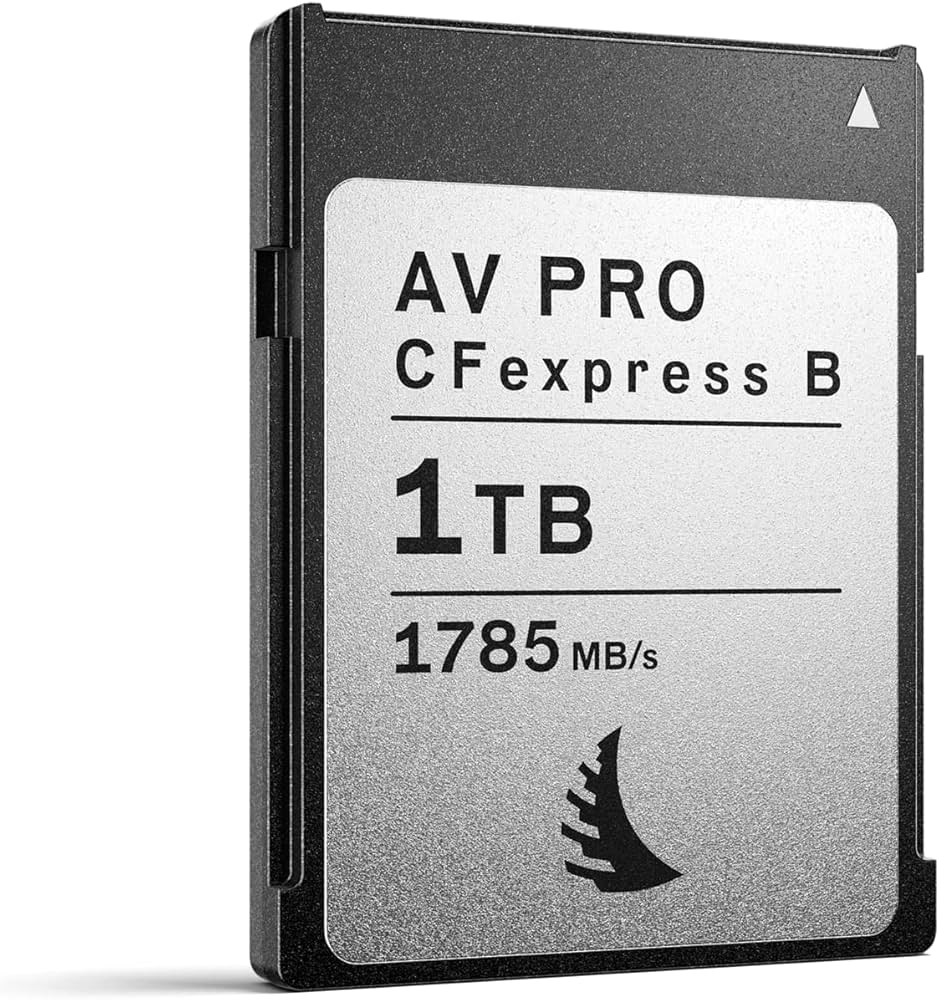 Amazon | Angelbird AV PRO CFexpress B MK2 - CFexpress 2.0 Type B