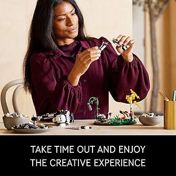 712AaoIKzgL._AC_UF350,