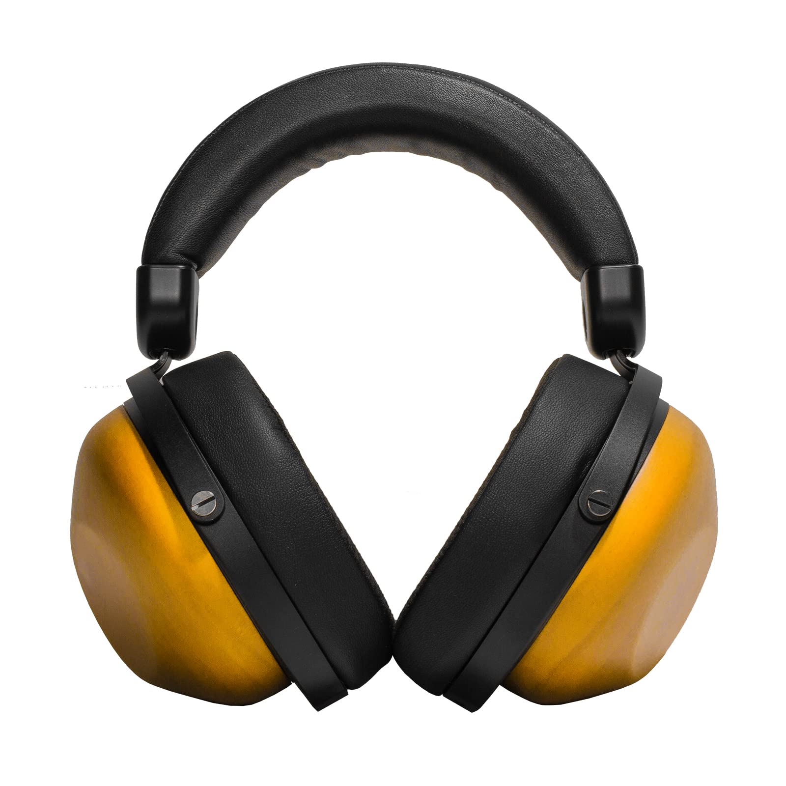 Amazon.com: HIFIMAN HE-R10D Dynamic Topology Driver Close-Back